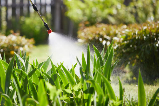 Tamper-Resistant Bait Stations for Rodents in Fultondale