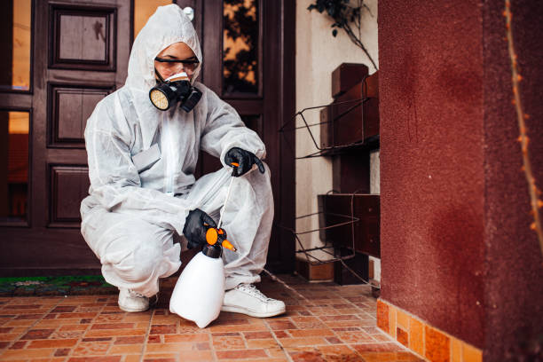Attic and Crawl Space Rodent Treatment in Fultondale